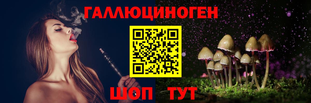 Псилоцибиновые грибы прущие грибы  Вход с VPN  Горно-Алтайск  что такое   Галлюциногенные грибы Psilocybine cubensis 